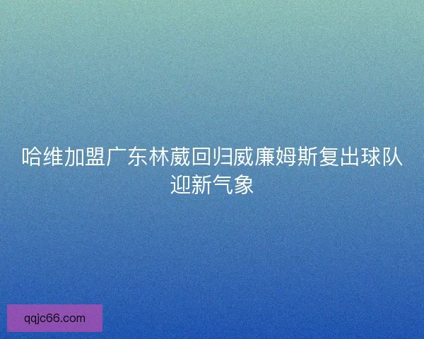 哈维加盟广东林葳回归威廉姆斯复出球队迎新气象