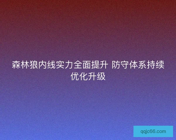 森林狼内线实力全面提升 防守体系持续优化升级